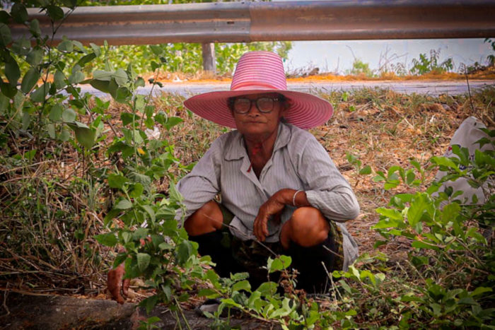 Granjera Isaan