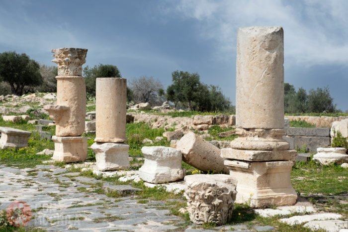 Detalle de las columnas