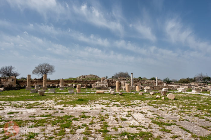 Patio columnado
