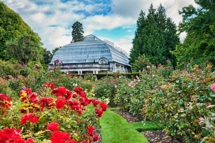 Los jardines botánicos de Christchurch