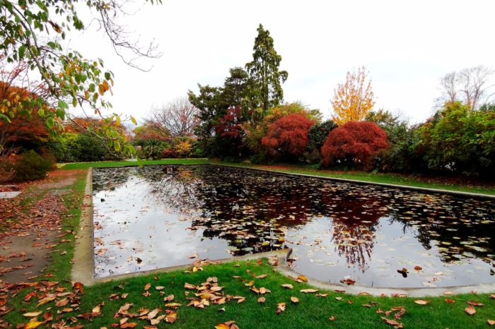 Mona Vale Garden Park