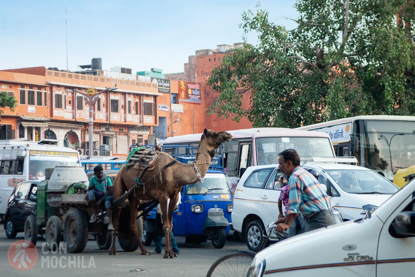 La crónica cósmica. La India en todo su apogeo