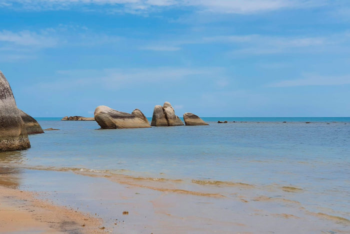 genitales samui