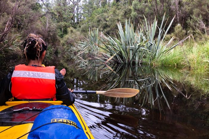 Kayak por la jungla