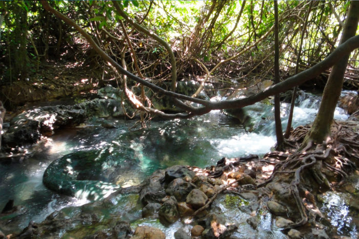 emerald pool