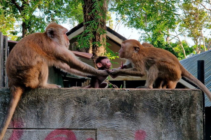 Monos Railay
