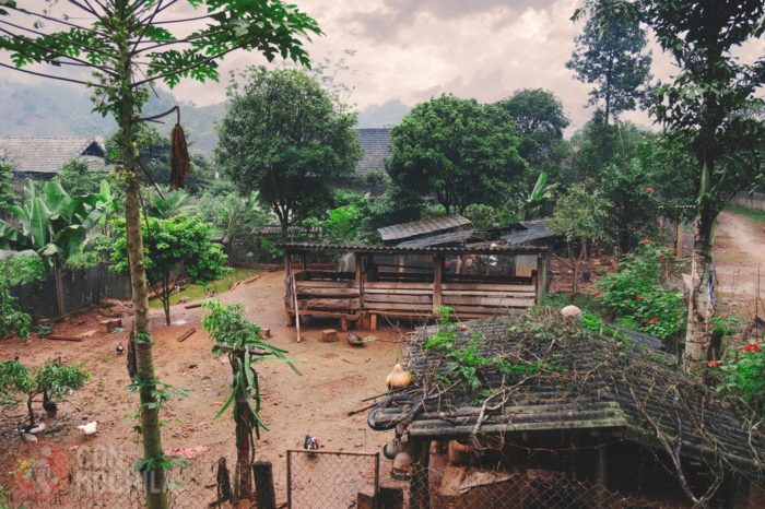 El patio de nuestra homestay