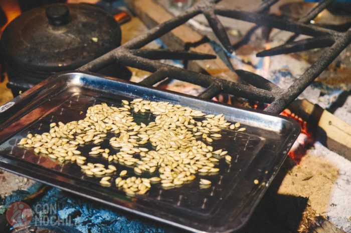 Las sabrosas pipas de calabaza
