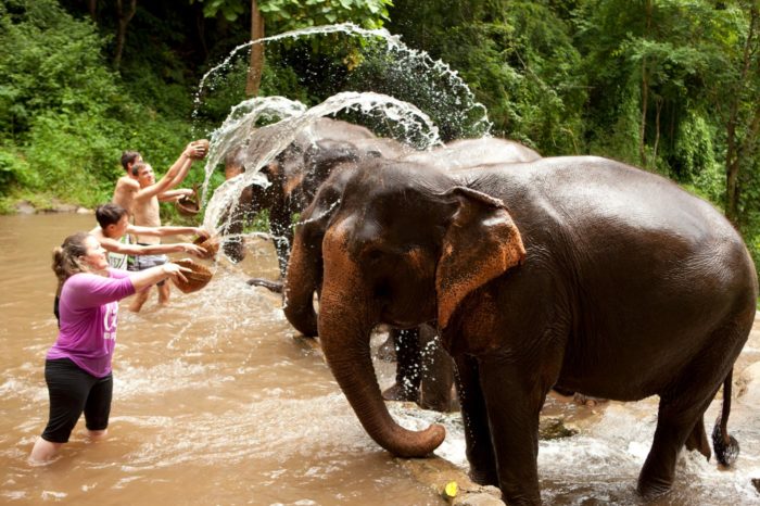 Turistas bañando elefantes