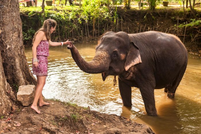 ¿Es tan inofensivo hacerse una foto con un elefante?