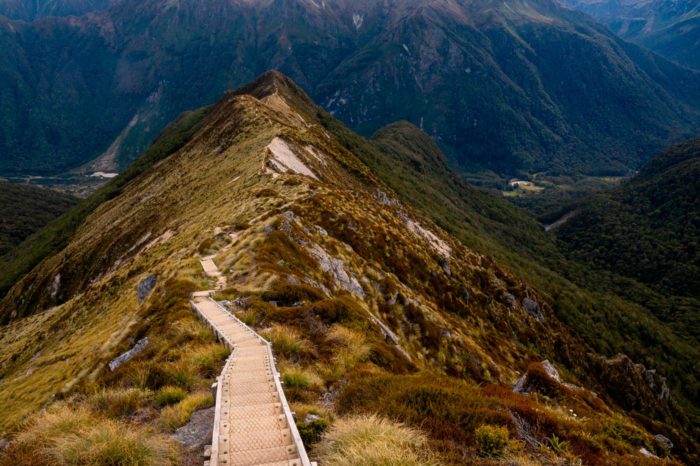 Kepler Track con la característica hierba tussock