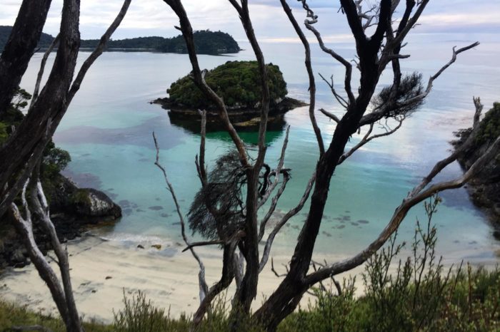 Playa secreta en Rakiura Track