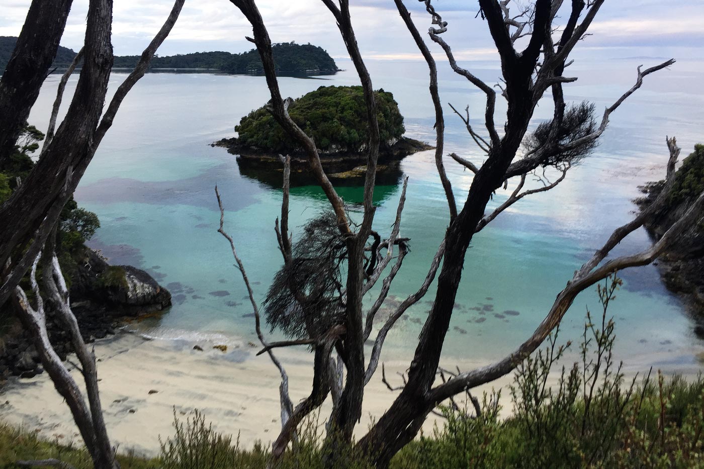 Secret Beach on the Rakiura Track