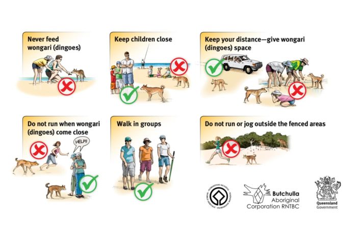 Consejos de Queensland Parks and Wildlife