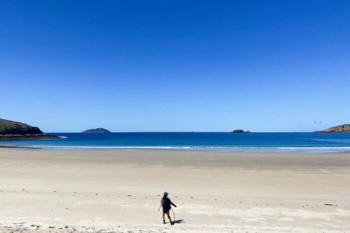 Playa desierta de Wreck Beach