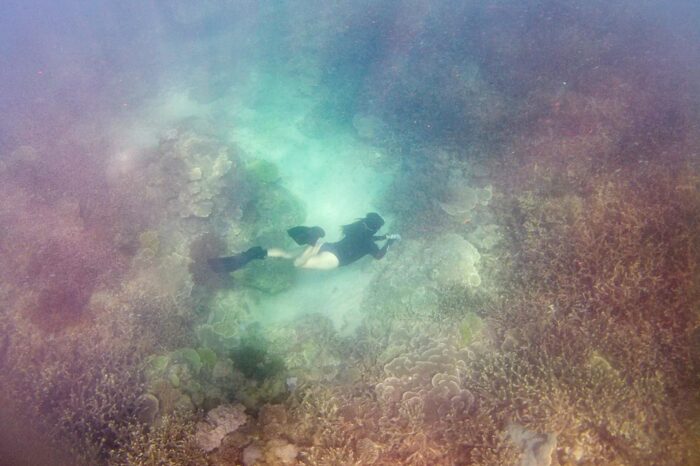 Freediving entre corales