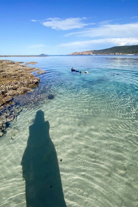 Snorkeling entre corales en la superficie