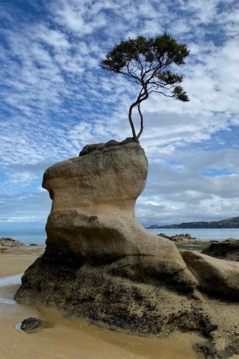 Las playas del parque nacional de Abel Tasman son únicas