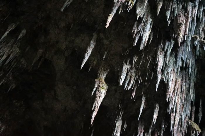 Sino aquí te dejo otra foto por si acaso