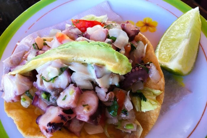 Comida