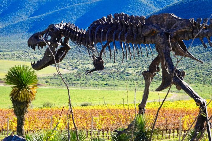Recomendable perderse un par de días con el dios Baco por las bodegas de Parras de la Fuente, a más de 2.000 metros de altura