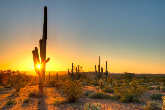Sonora alberga los desiertos más inspiradores, dunas y montañas que desembocan en el Mar de Cortés