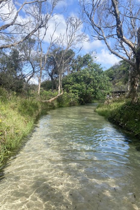 Eli Creek