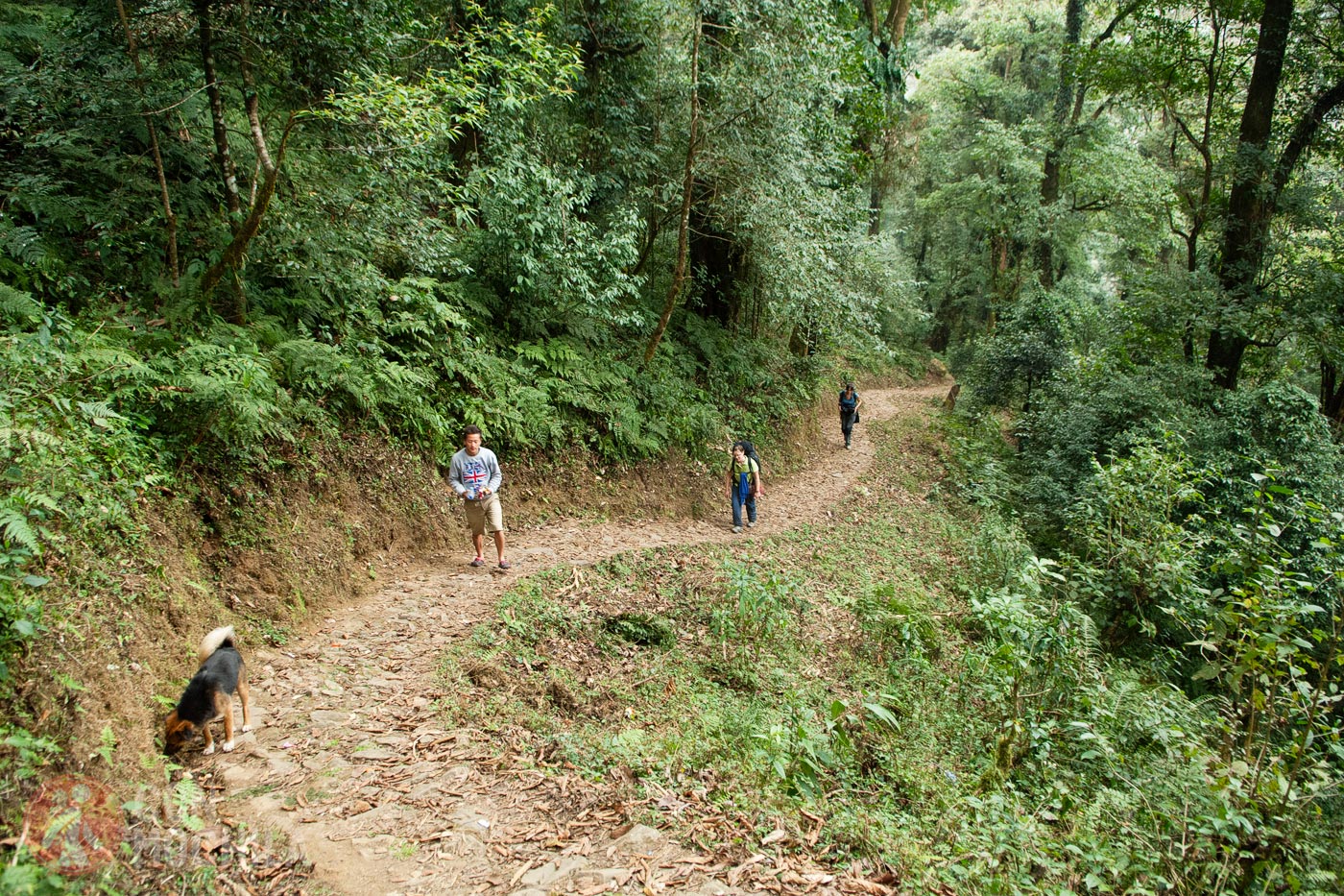La empinada y larga subida a nuestra homestay
