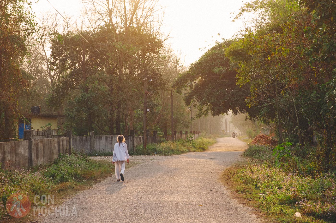 La crónica cósmica. Sauraha se va desvaneciendo...