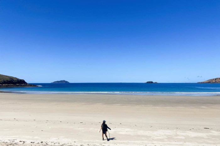 Playa desierta de Wreck Beach