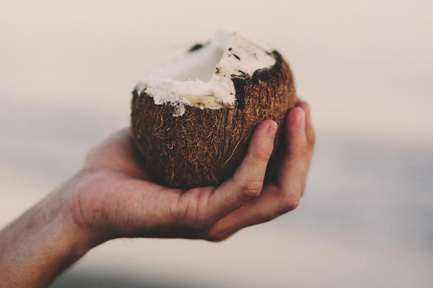 La crónica cósmica. Un coco, 50 céntimos
