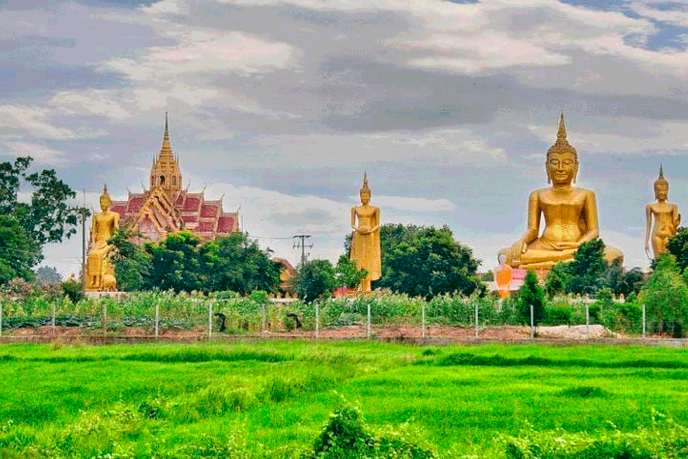 phitsanulok como ir