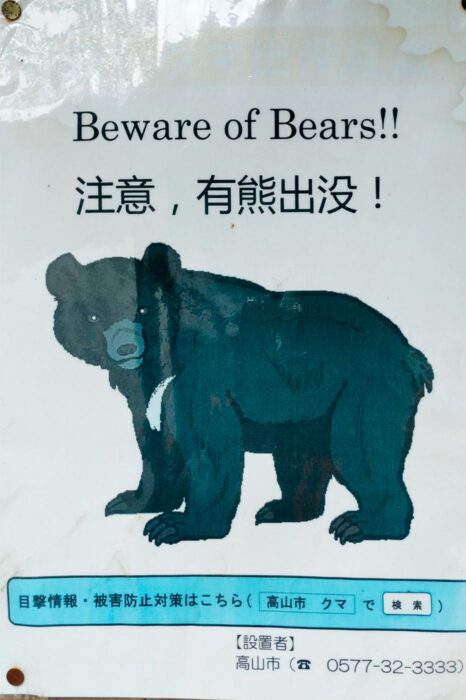 Cuidado con los Osos!!