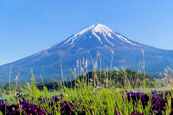 Oishi Park en Fujikawaguchi