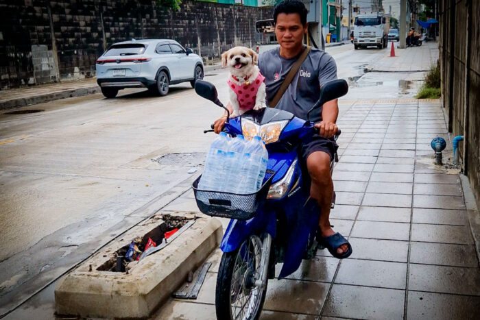 trafico bangkok