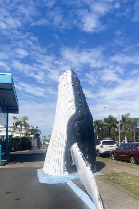Monumento a la ballena jorobada en Hervey Bay