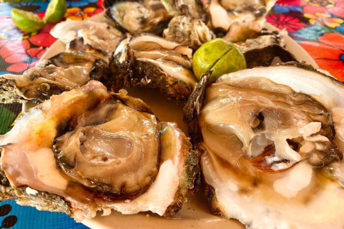 Tamaulipas es tan auténtica que se merece unos días, encontraréis a pocos turistas pero muy rico marisco, especialmente sus ostiones