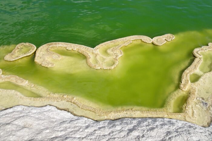Hierve el agua y esculpe las pozas, cuelgan de los riscos sus cascadas petrificadas por el tiempo