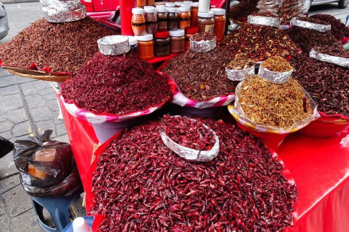 México no se entiende sin sus mercados, donde transcurre la vida y la base de su gastronomía. En esta guía visitaremos muchos