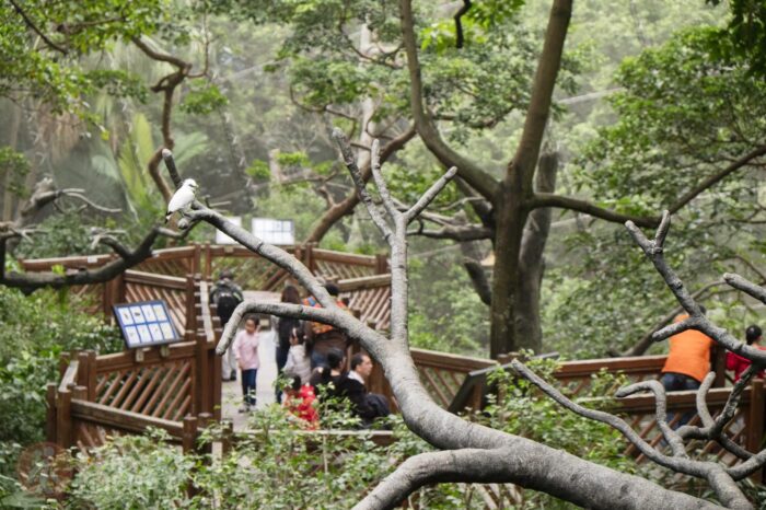 Hong Kong Park