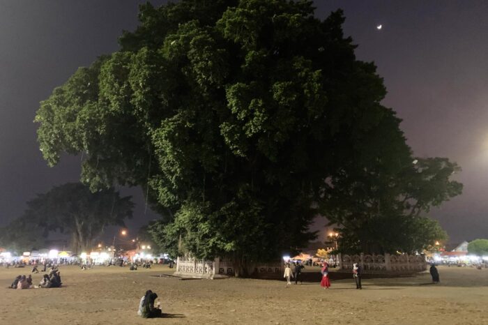 Plaza Alun Alun Kidul al caer la noche