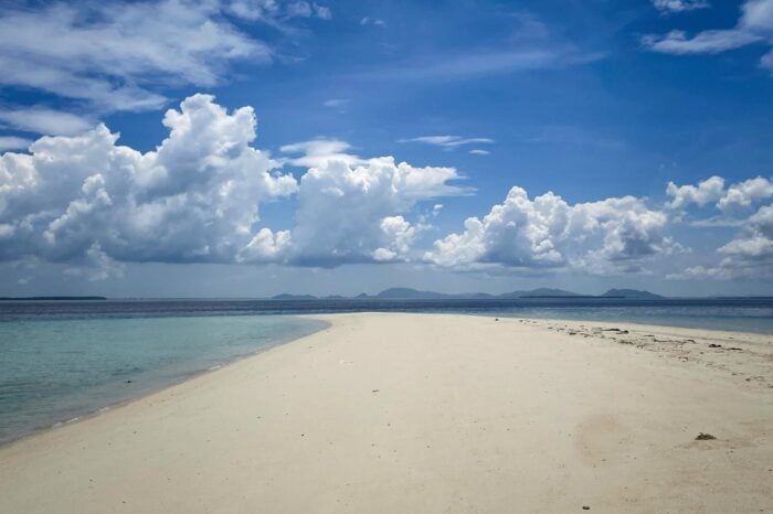 borneo 15