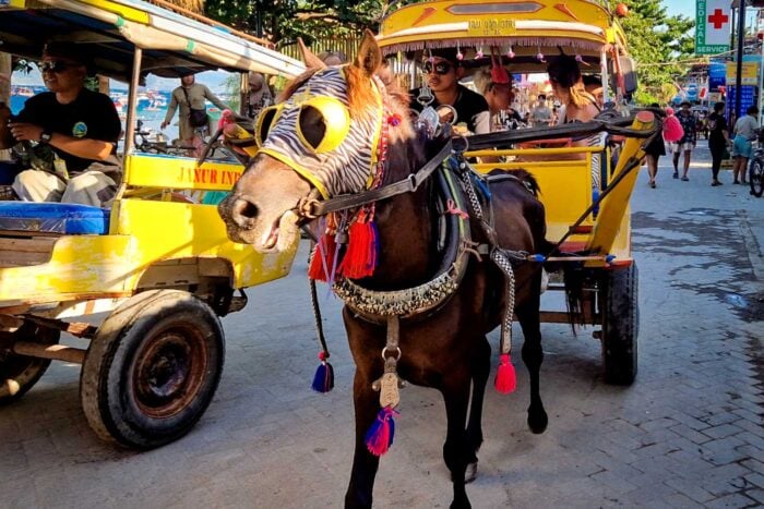 Gili Trawangan caballo