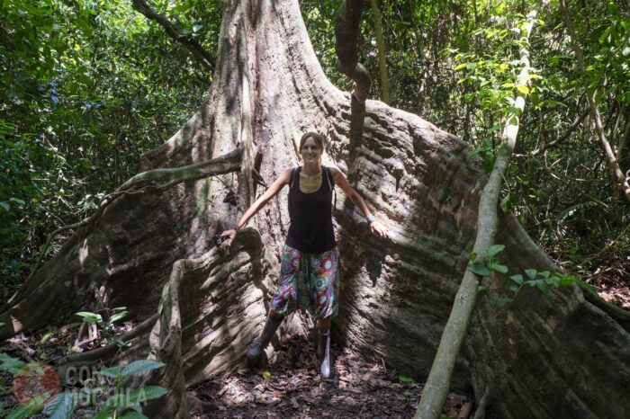 Explorando y aprendiendo en la jungla
