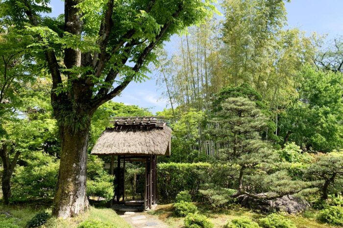 Entrada al jardín de una casa de té