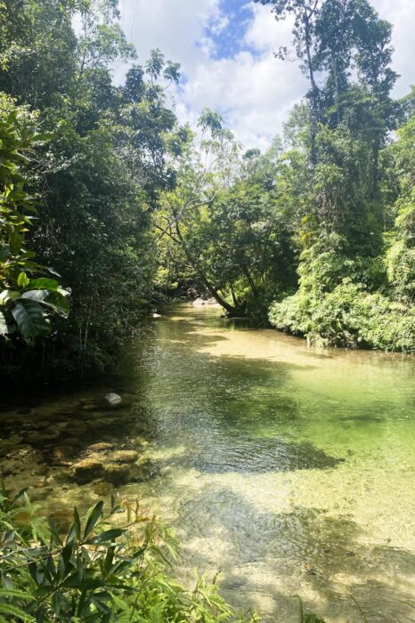 Aligator Nest Creek