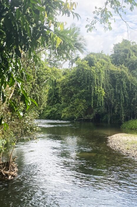 Liverpool Creek Swim Hole