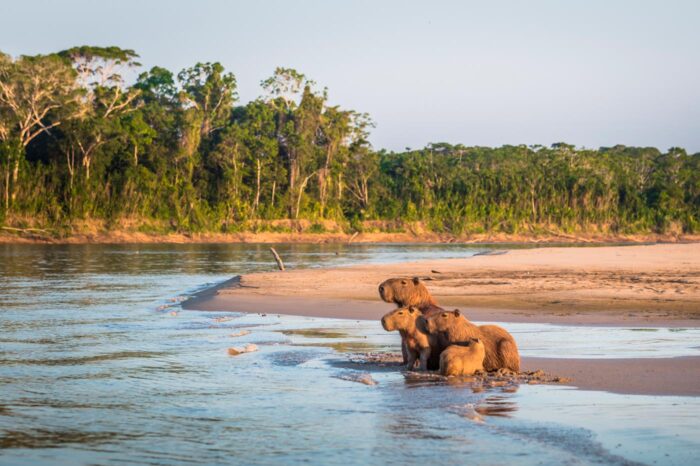 Parque Nacional del Manu
