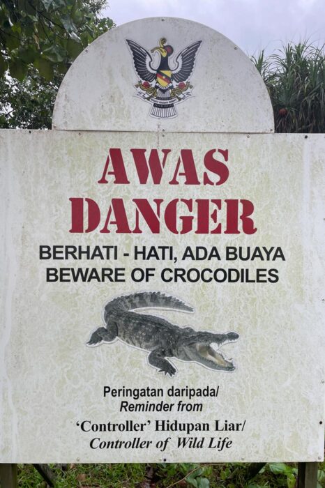 Ojito con los cocodrilos que se enseñorean por lo miles de ríos de la isla de Borneo.