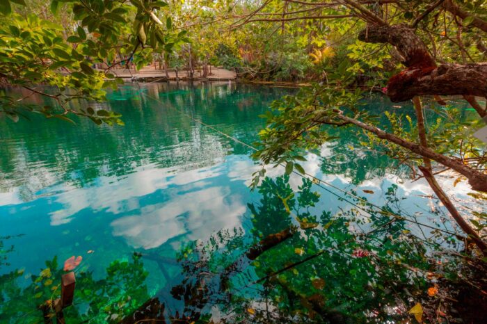 Cenote Aktun-Ha